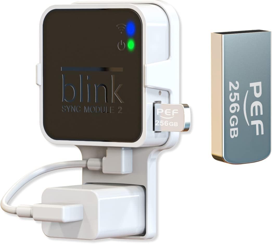 256GB Blink USB Flash Drive