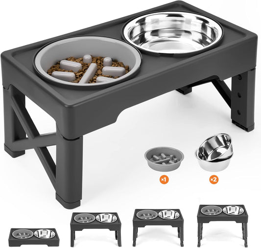 Elevated Dog Bowls with Slow Feeder