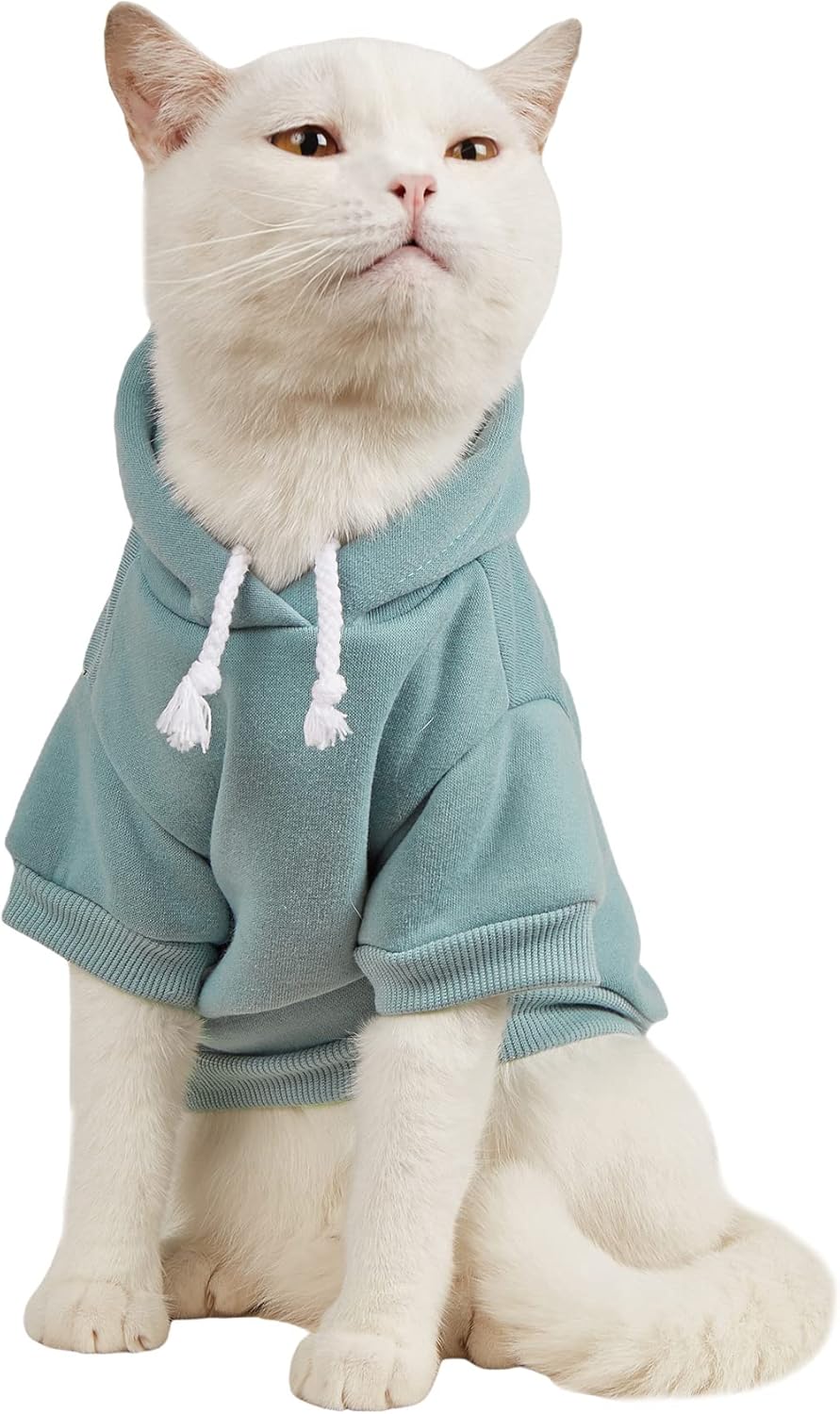 QWINEE Basic Dog Hoodie