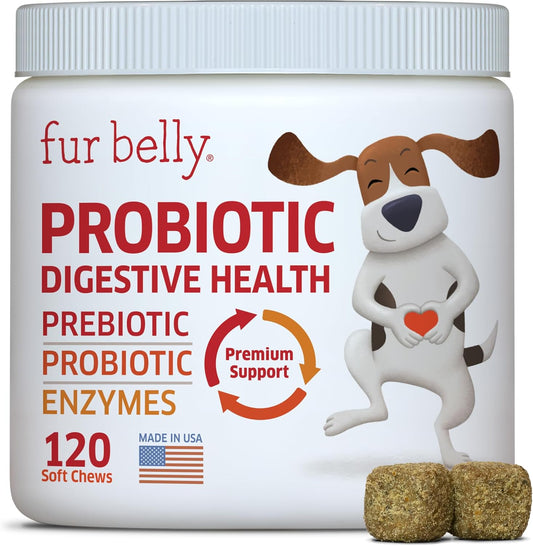 Probiotics for Dogs