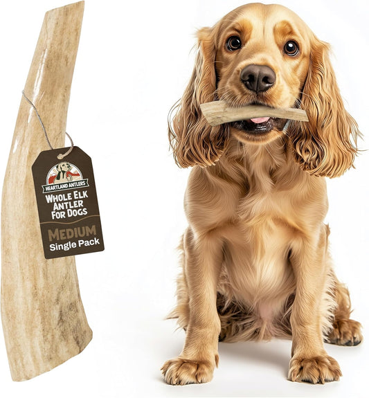 Heartland Elk Antlers for Dogs