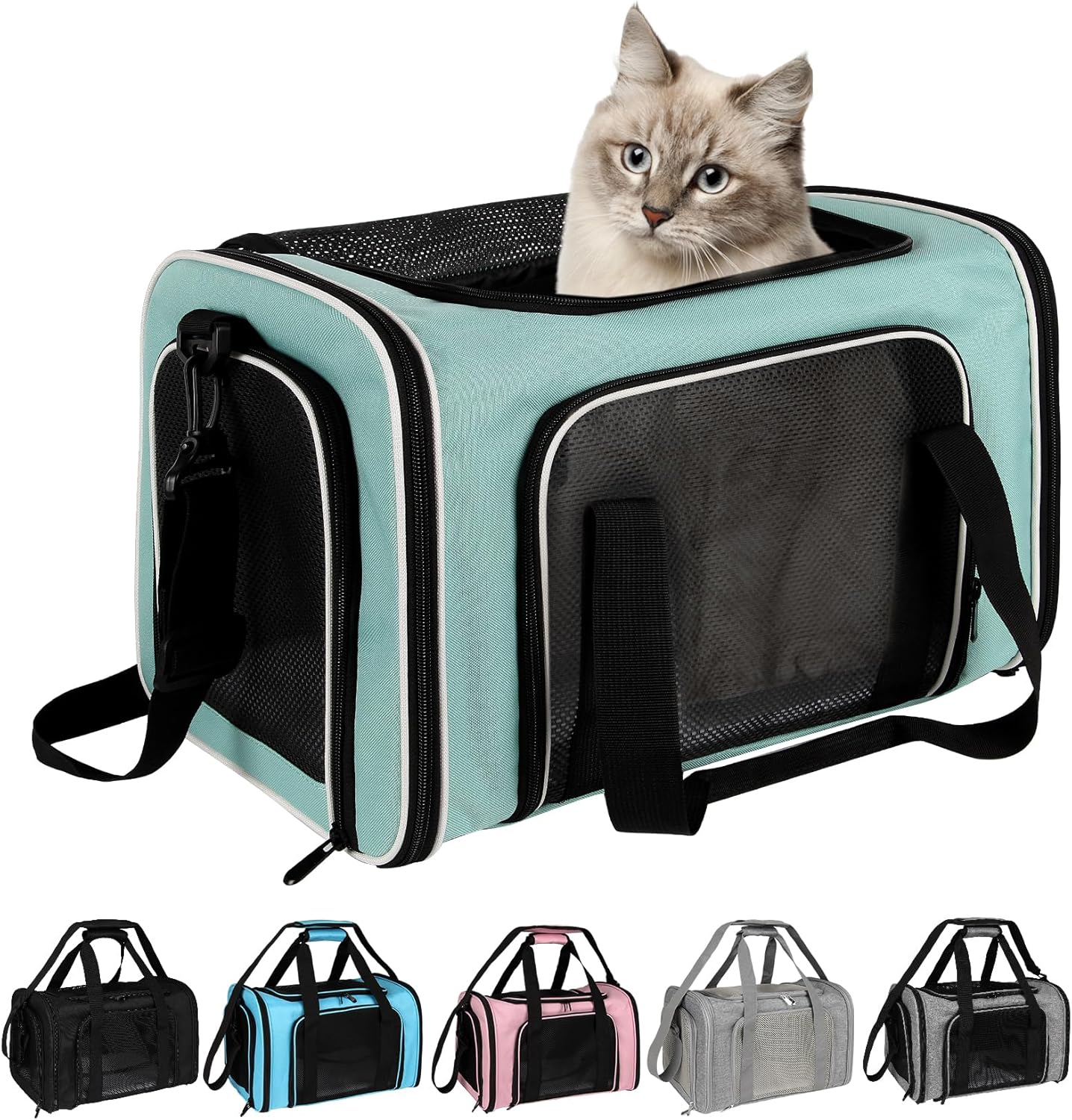 Cat, Dog Carrier