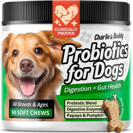 Charlie & Buddy Pet Probiotics for Dogs Aid Gut Flora