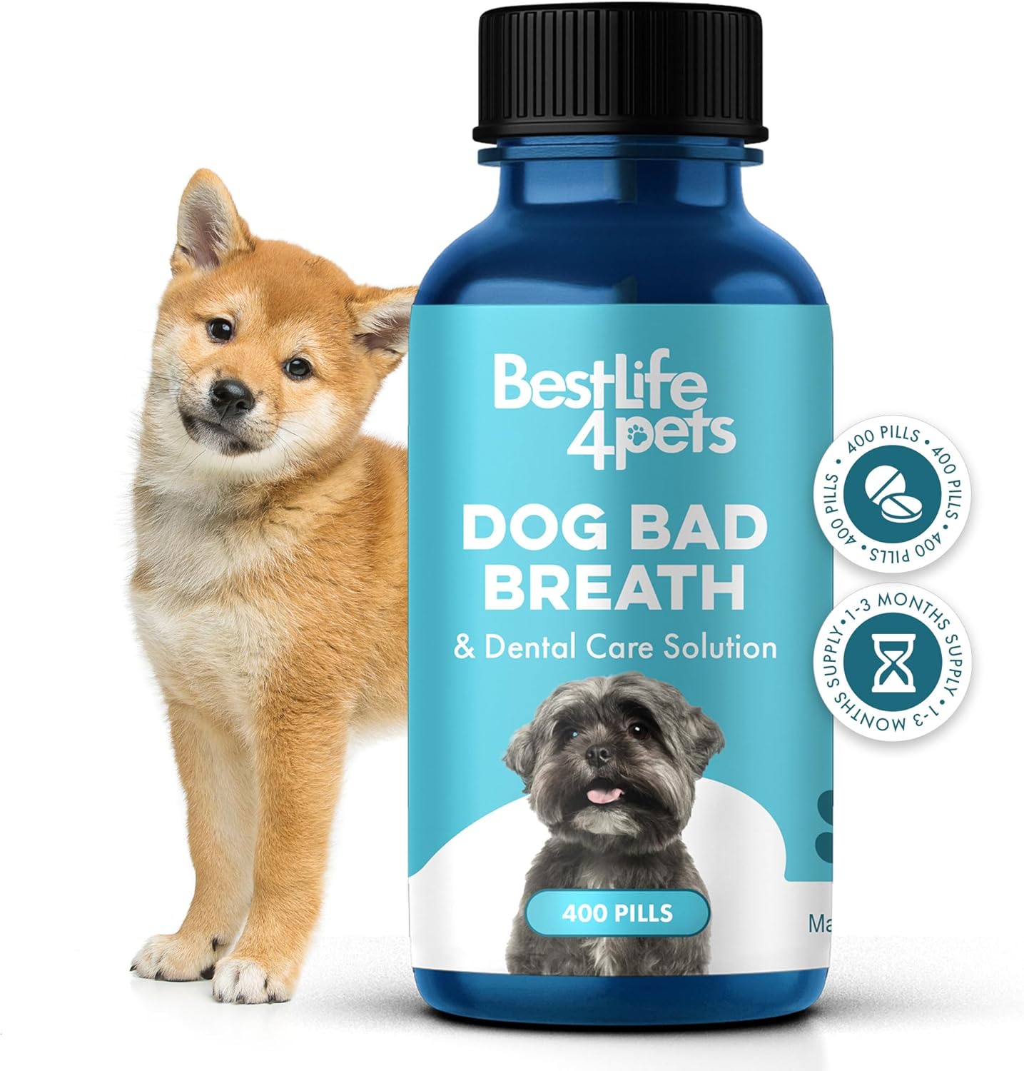 Dog Bad Breath Treatment